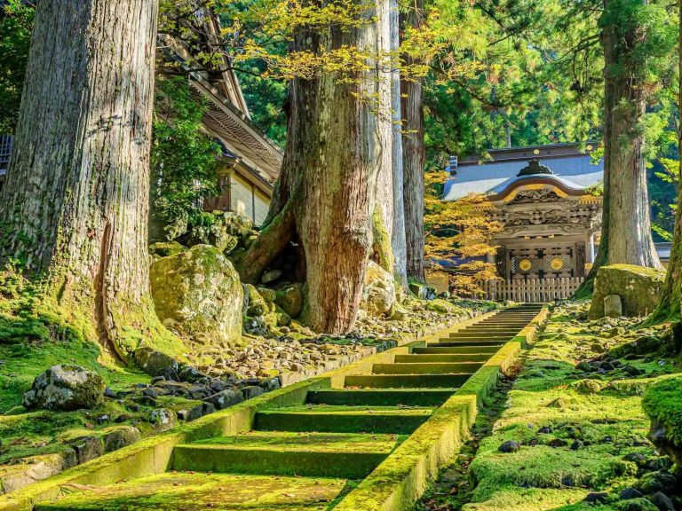 Japanischer Garten